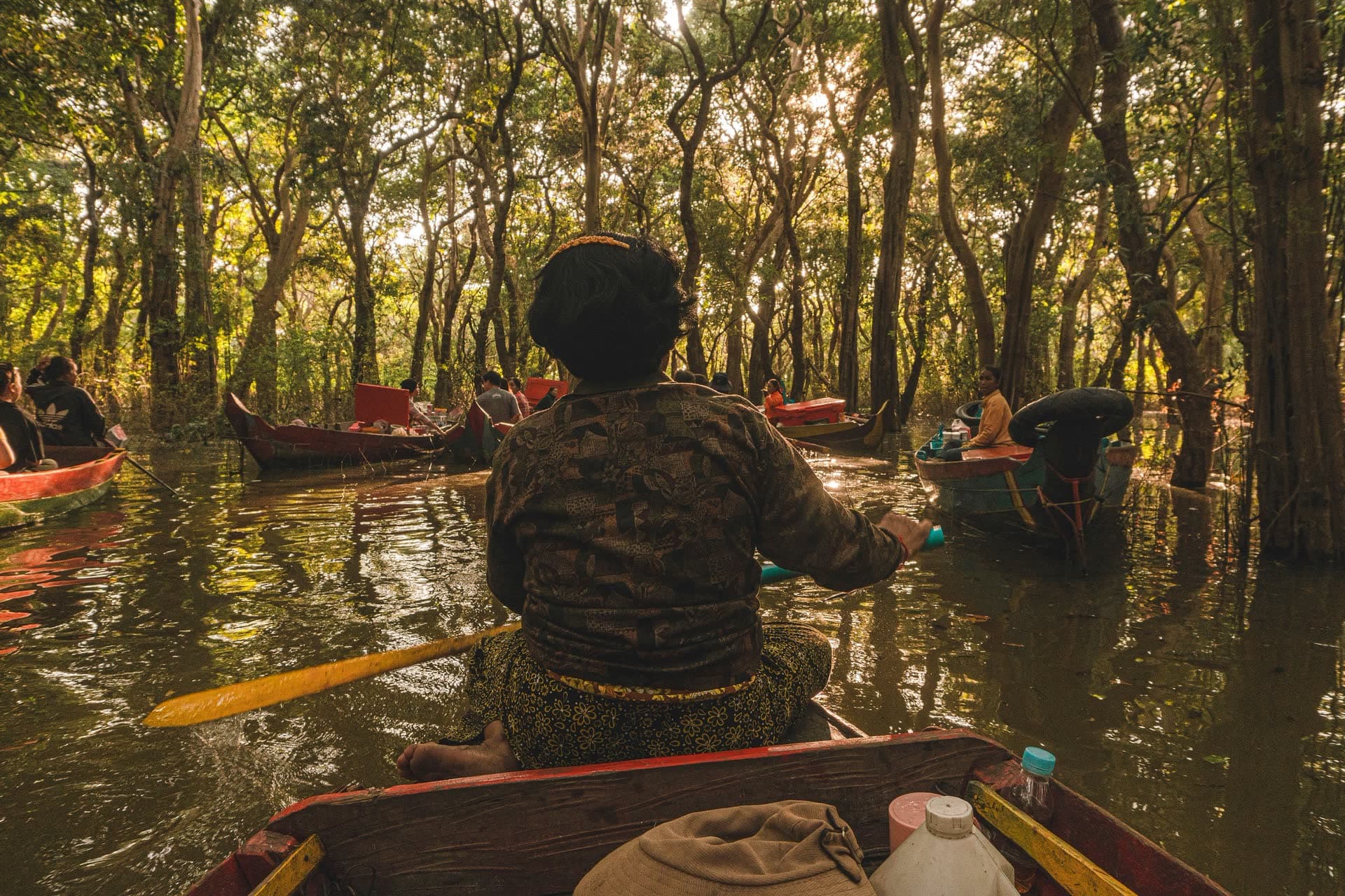 Pirogue traversant une forêt inondée au Cambodge