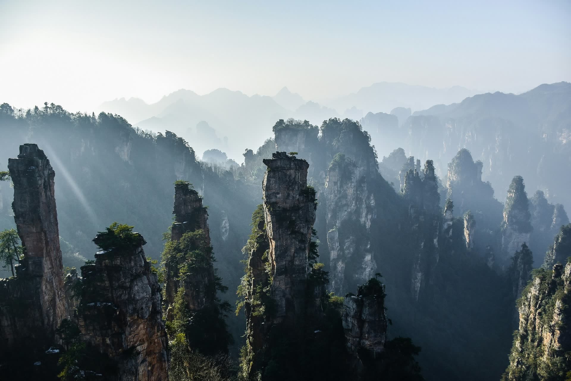 Les pitons rocheux de Zhangjiajie émergeant de la brume, en Chine