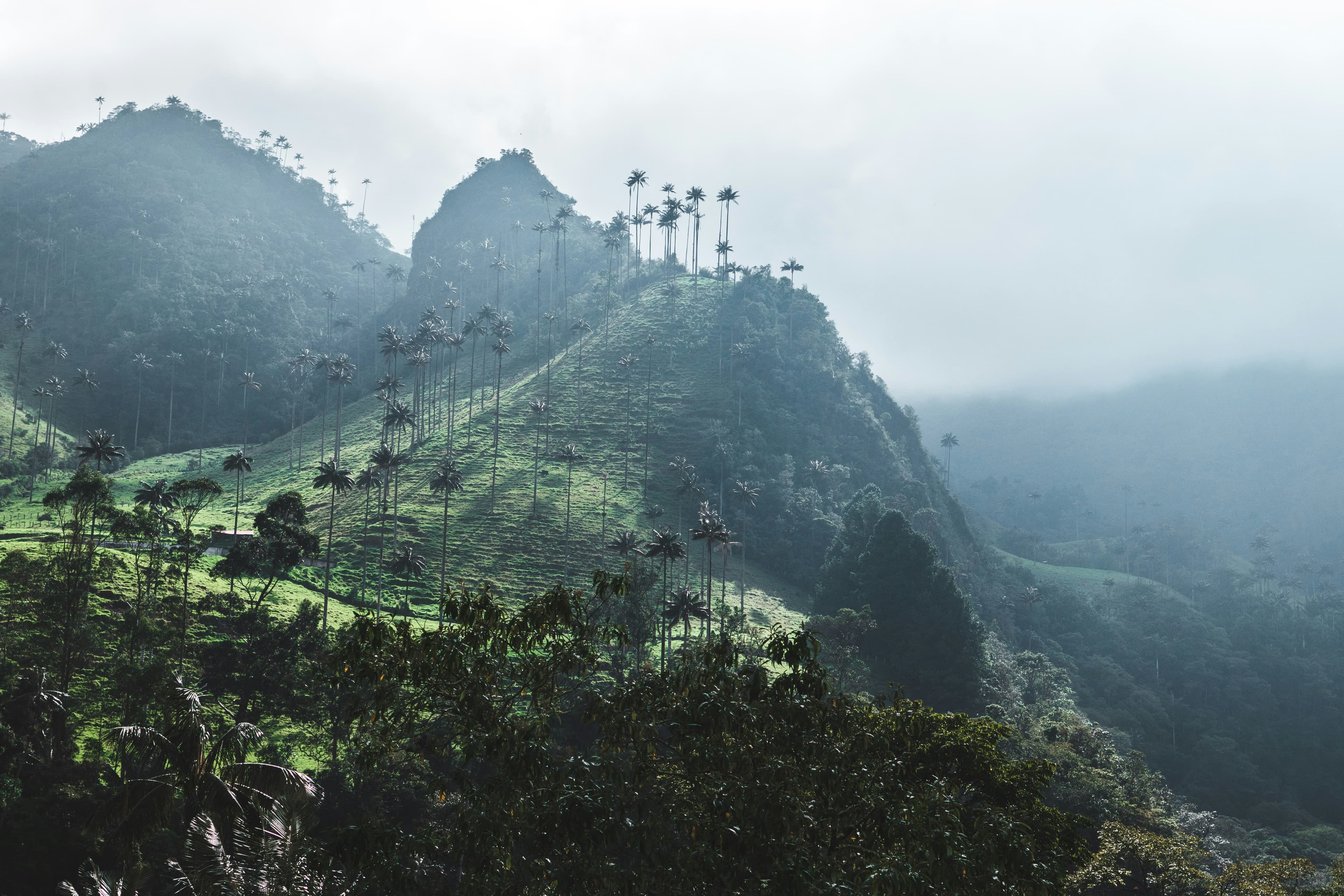 Colombie