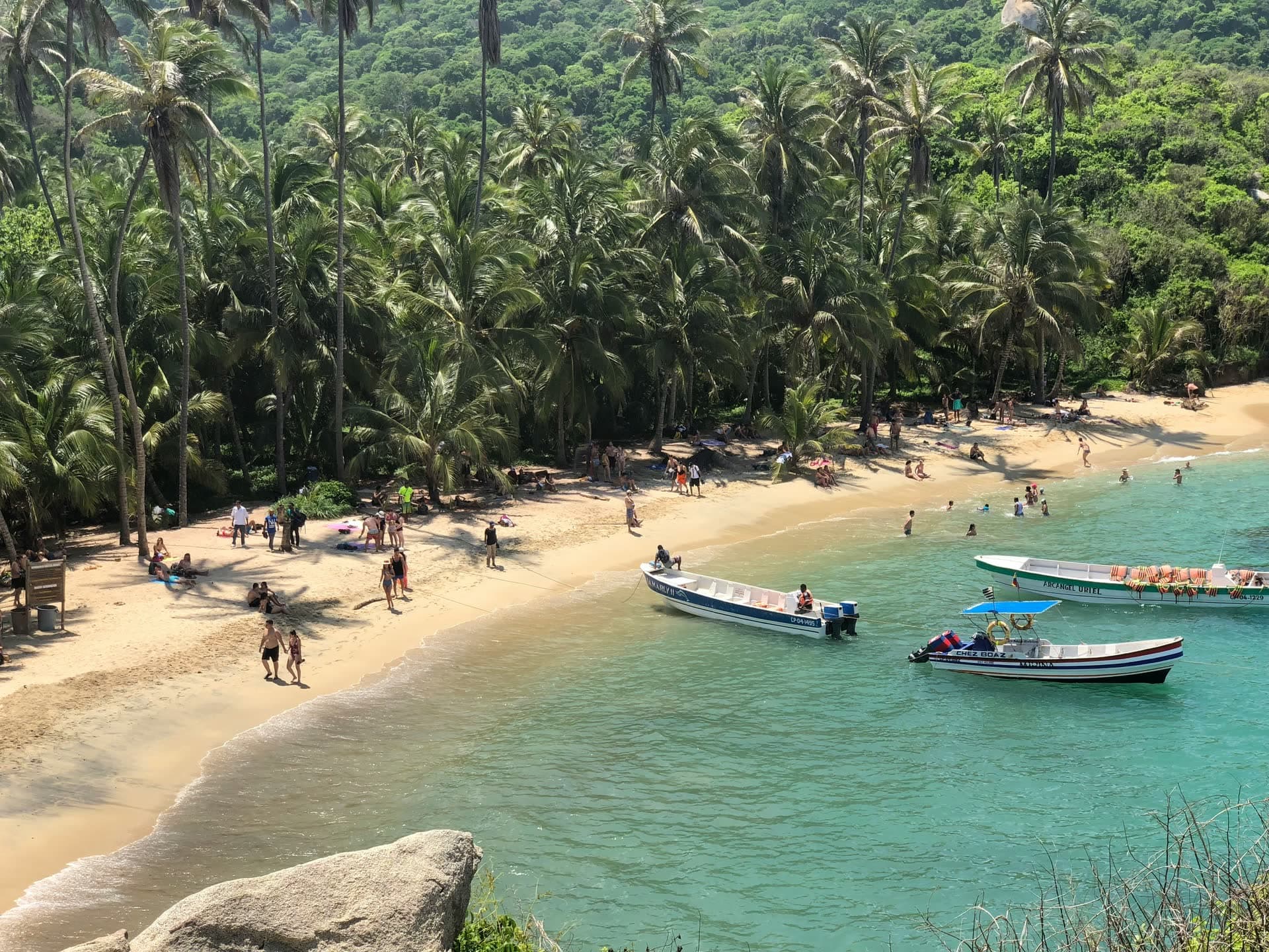 Plage bordée de cocotiers et barques de pêche, sur la côte colombienne