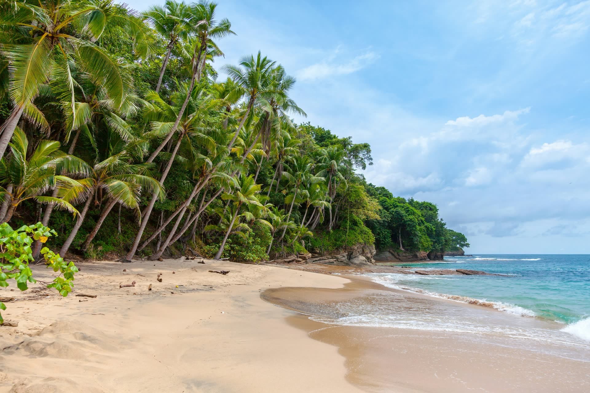 Plage de sable et cocotiers penchés sur la côte du Costa Rica. Vivre au Costa Rica : notre fiche expatriation.