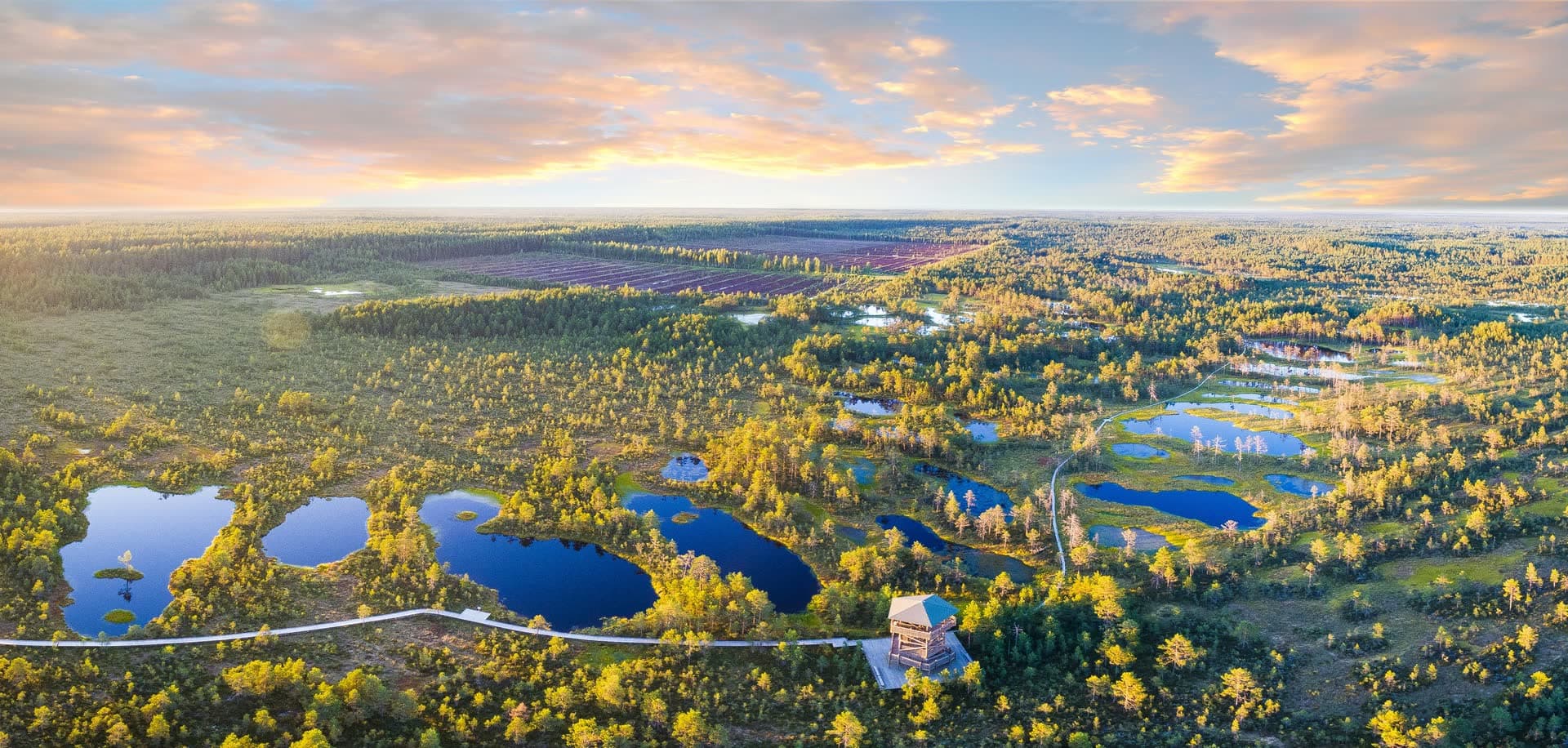 Tourbière parsemée de lacs vue du ciel, en Estonie