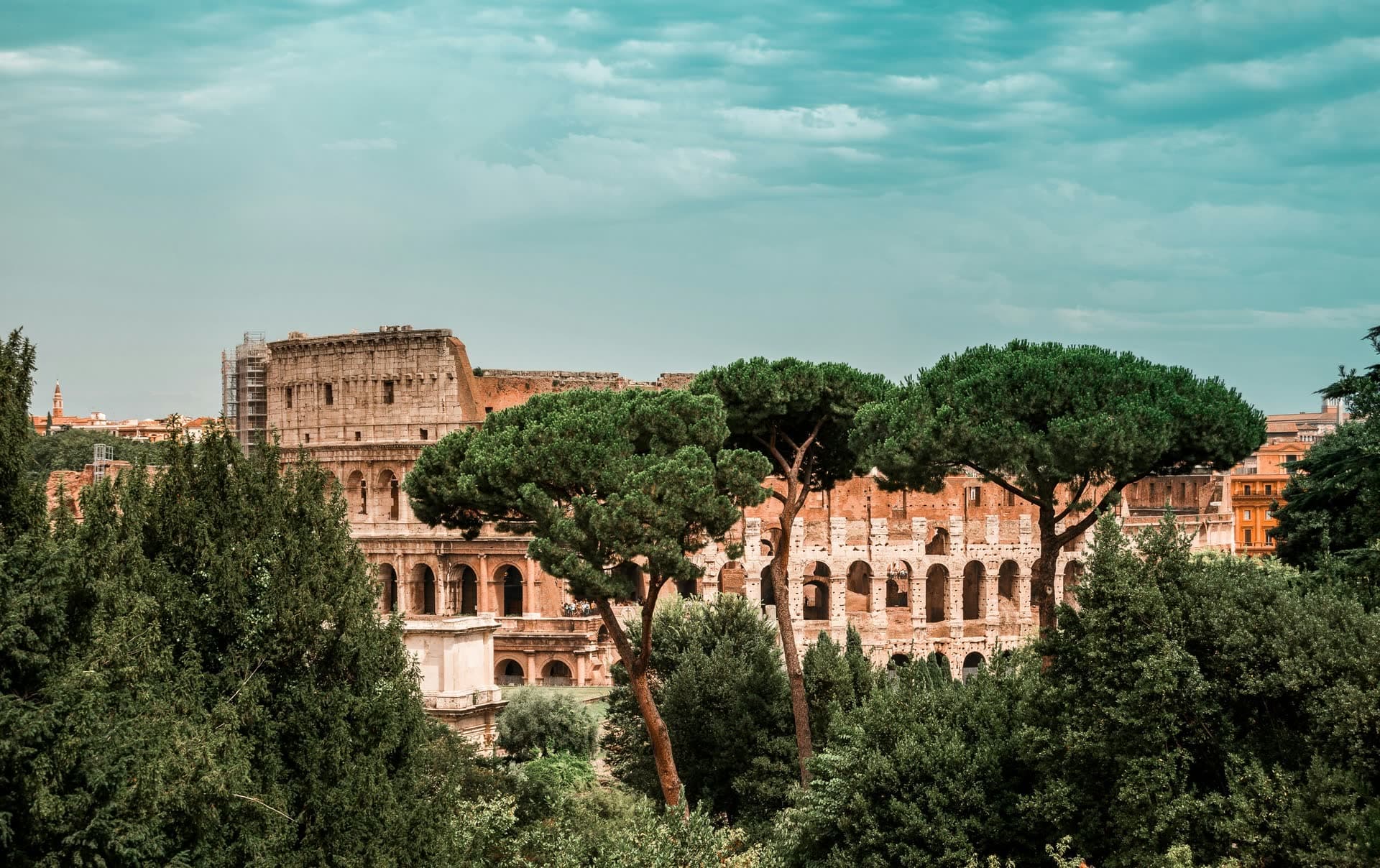 Le Colisée de Rome vu à travers les pins parasols, en Italie