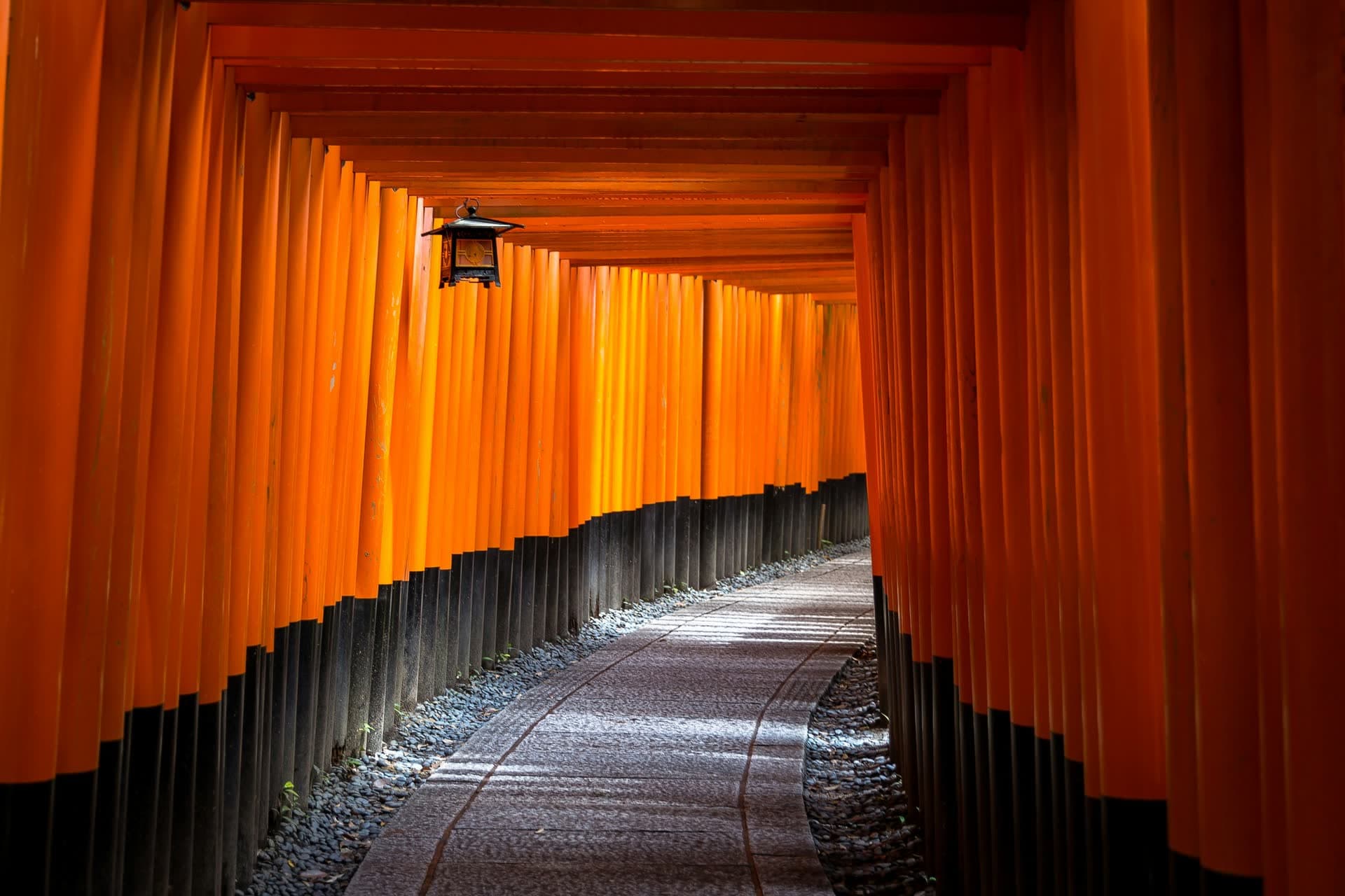 Allée de torii vermillon du sanctuaire Fushimi Inari, à Kyoto