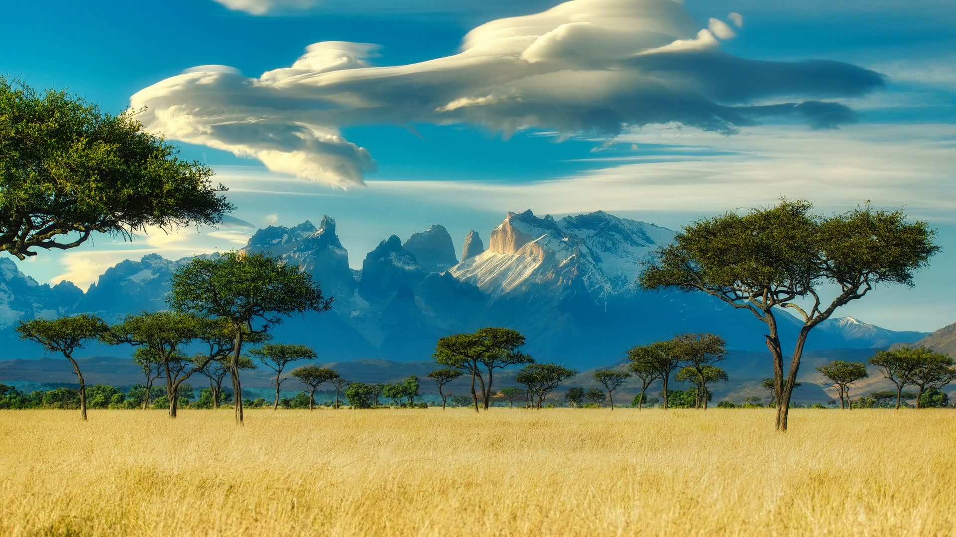 Savane parsemée d'acacias devant les montagnes, au Kenya. Vivre au Kenya : notre fiche expatriation.