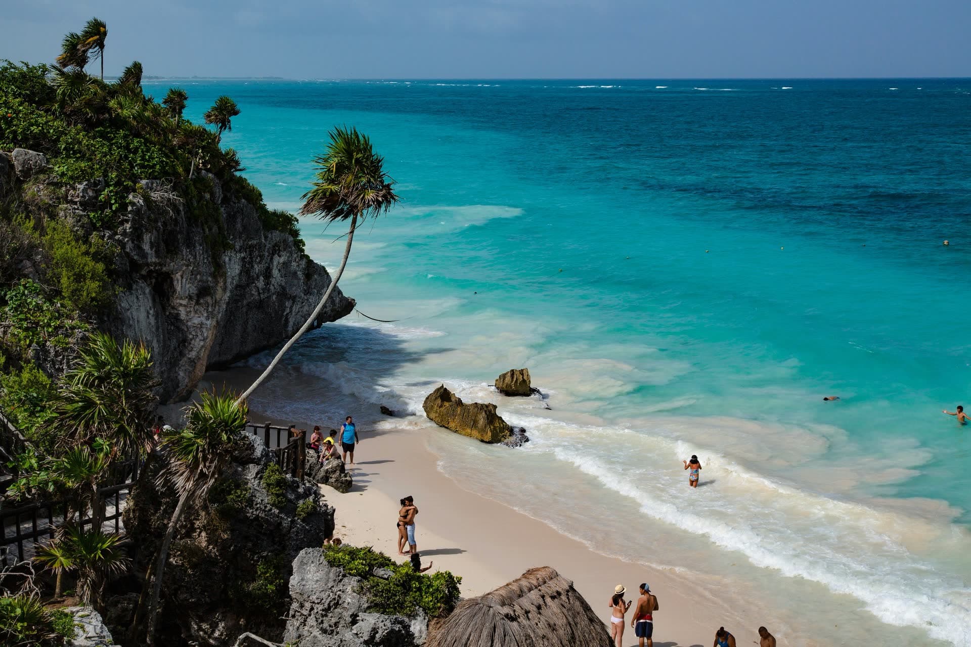 Plage de Tulum et palmier penché, au Mexique