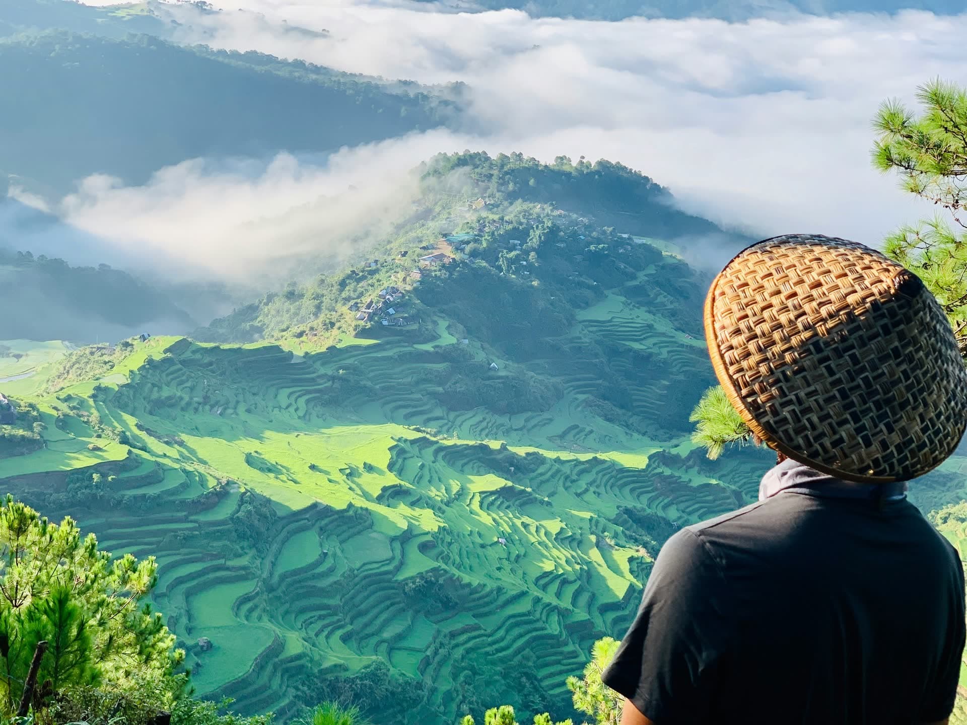 Rizières en terrasses vues par un promeneur, aux Philippines