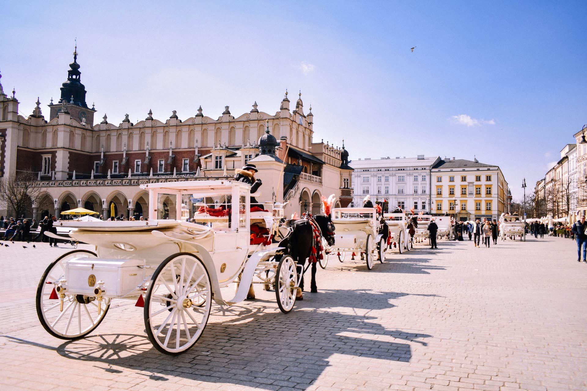 Calèche sur la place du marché de Cracovie, en Pologne
