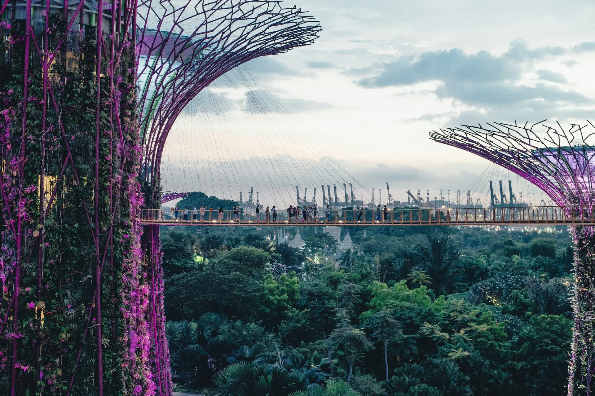 Les Supertrees de Gardens by the Bay, à Singapour