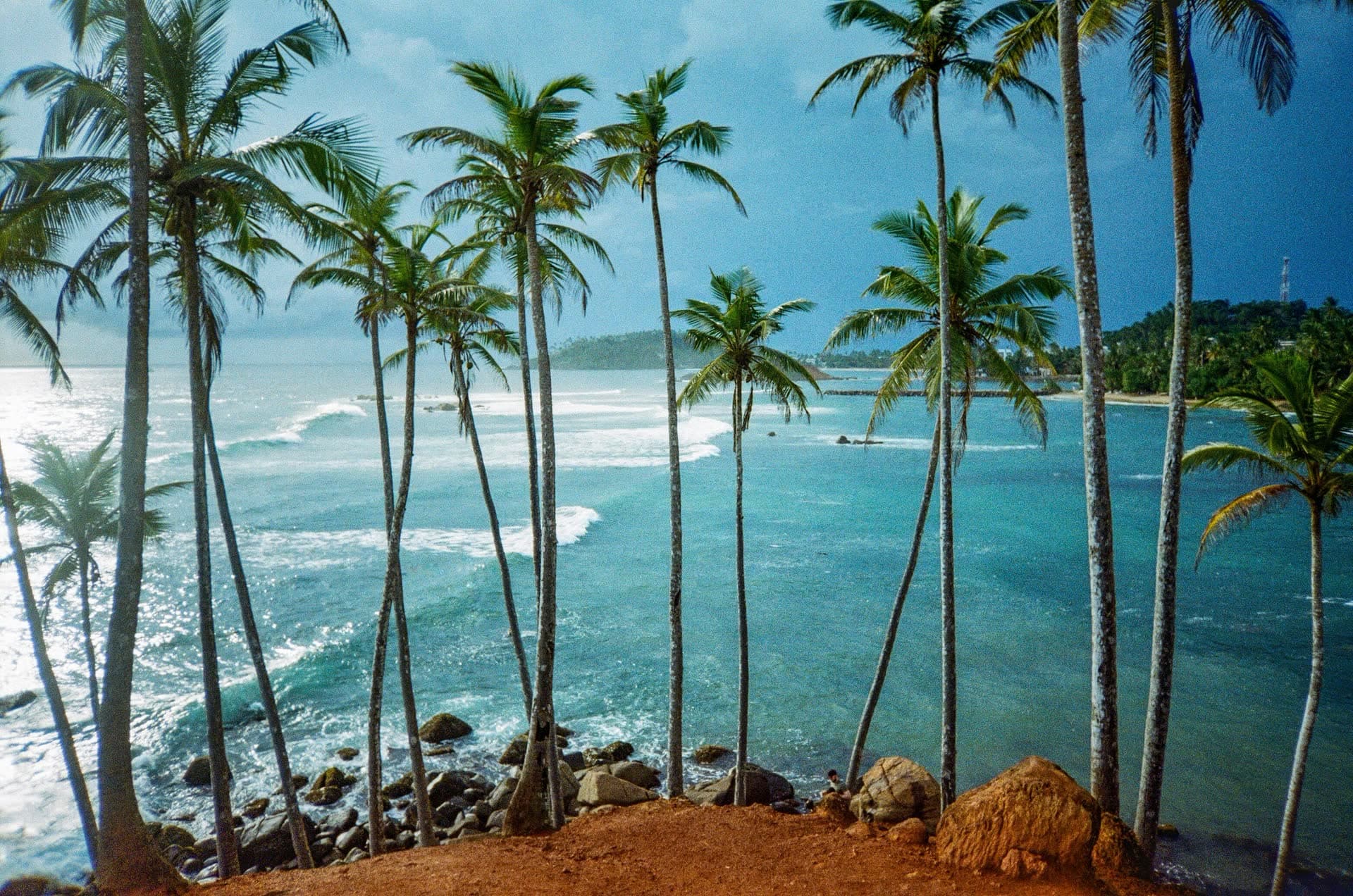 Plage bordée de cocotiers penchés, au Sri Lanka. Vivre au Sri Lanka : notre fiche expatriation.