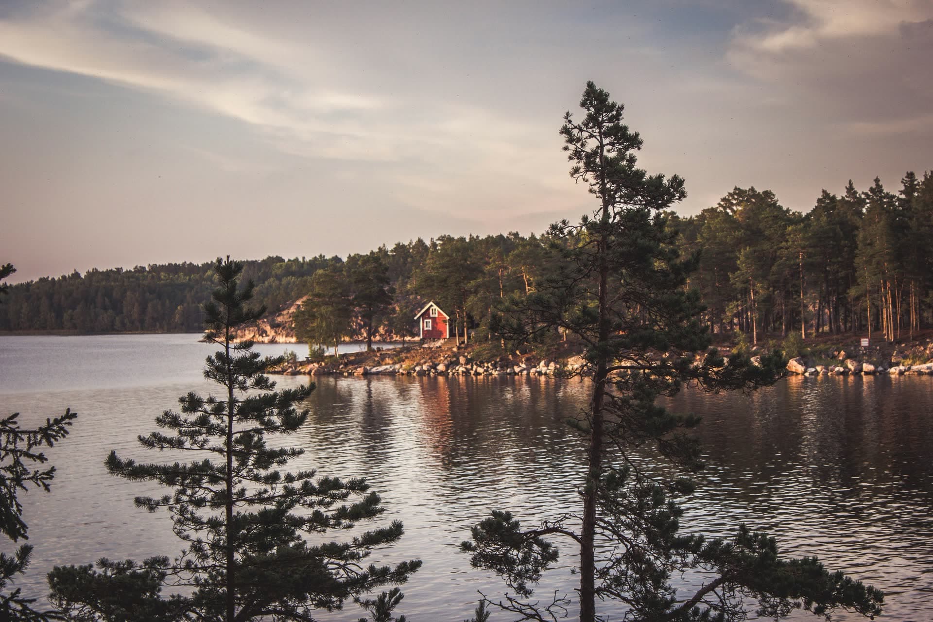 Chalet rouge au bord d'un lac entouré de forêt, en Suède