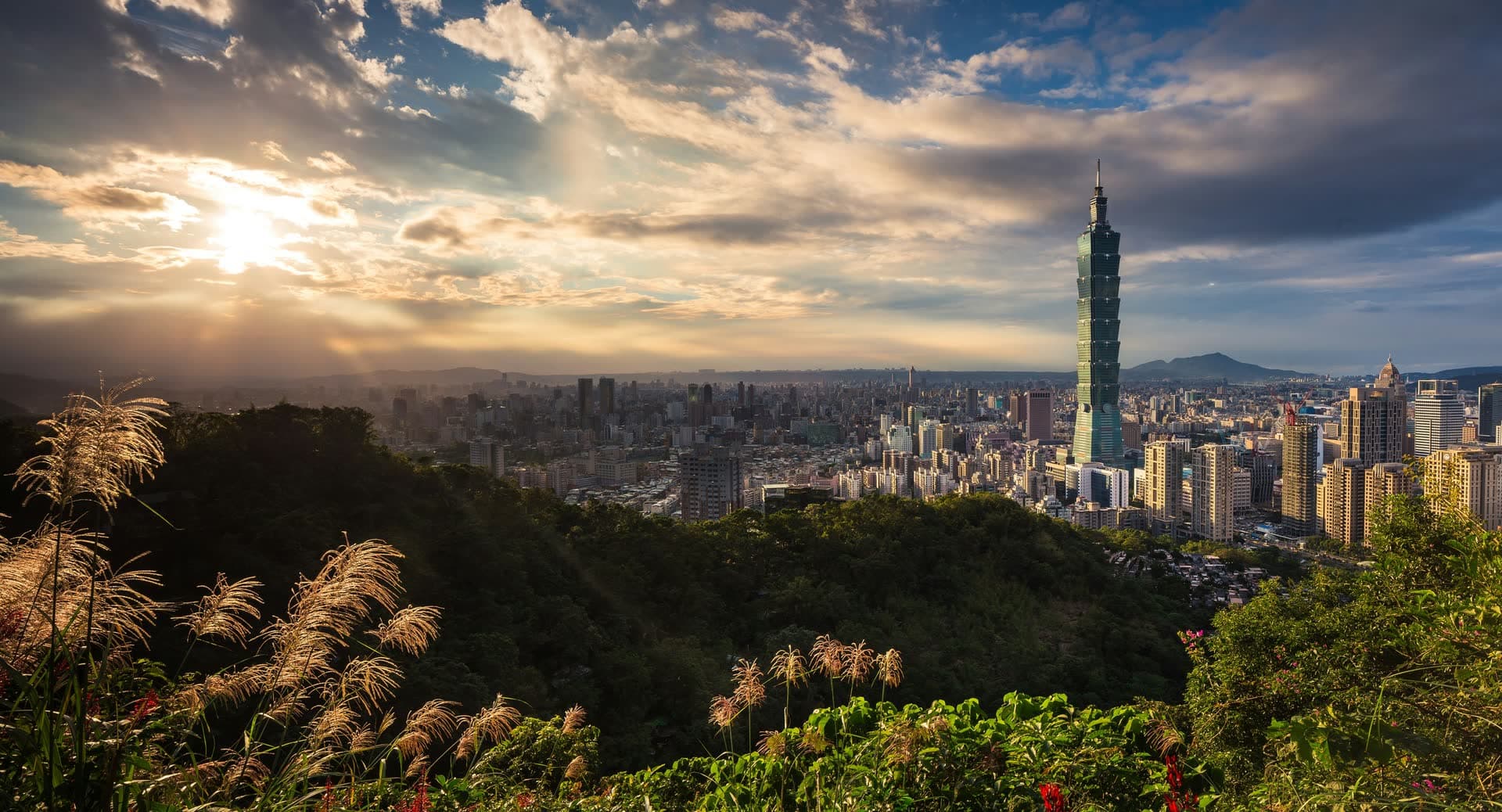 La tour Taipei 101 vue depuis les collines boisées, à Taïwan