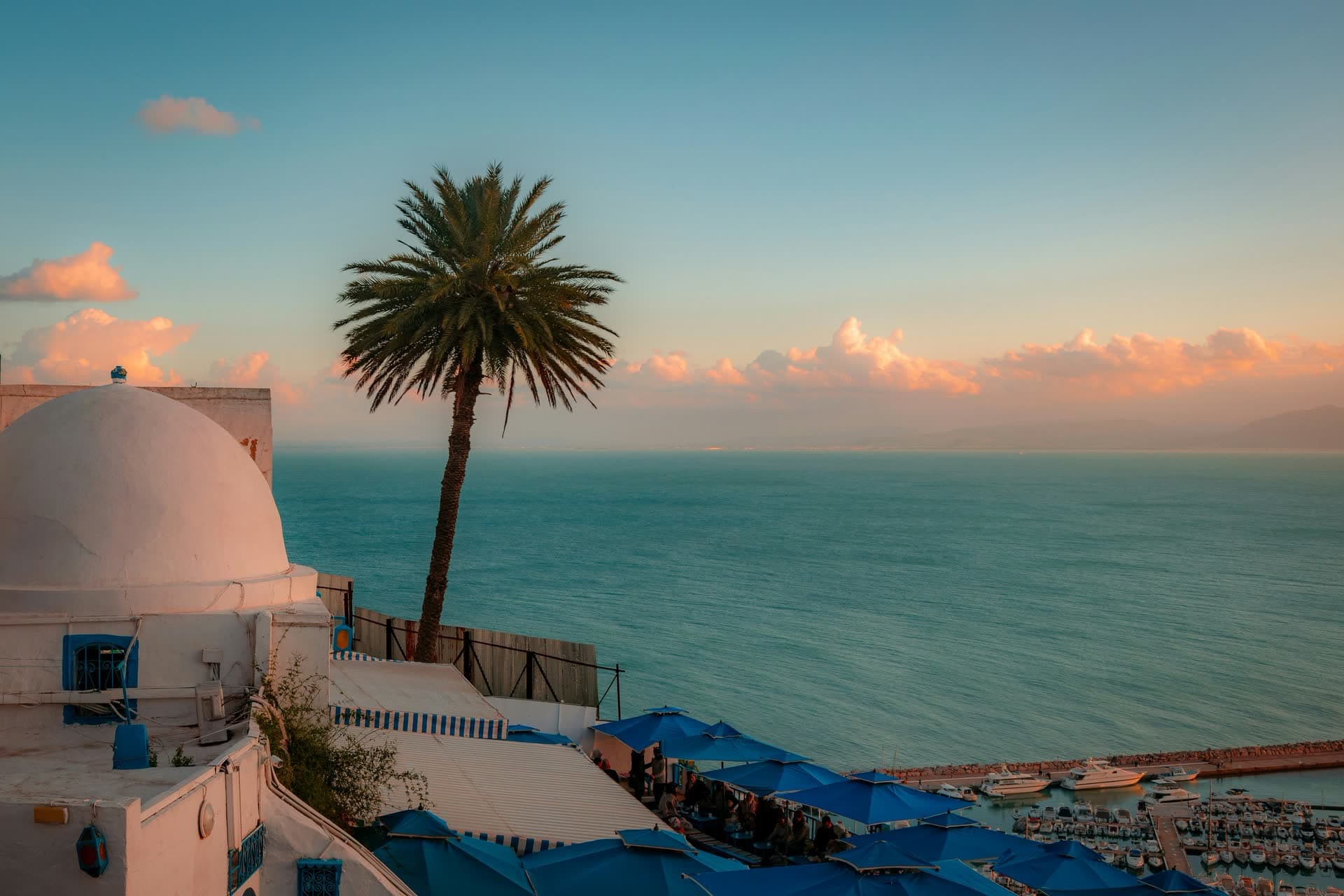 Coupole blanche et palmier face à la mer à Sidi Bou Saïd, en Tunisie. Vivre en Tunisie : notre fiche expatriation.